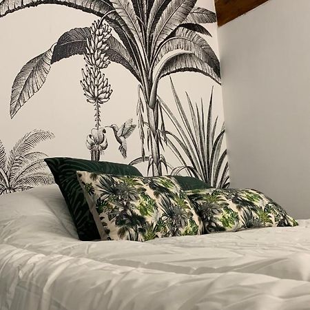 Appartement Cosy Centre Historique Awinion Zewnętrze zdjęcie